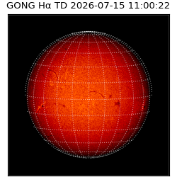 gong - 2026-07-15T11:00:22