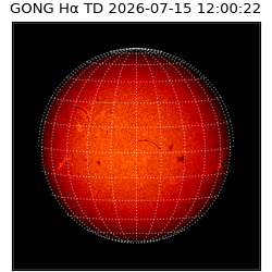 gong - 2026-07-15T12:00:22