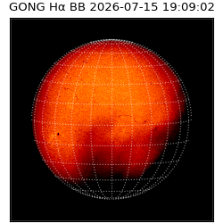 gong - 2026-07-15T19:09:02