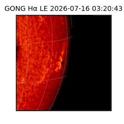 gong - 2026-07-16T03:20:43