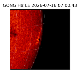 gong - 2026-07-16T07:00:43