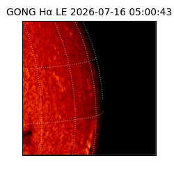 gong - 2026-07-16T05:00:43