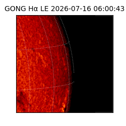 gong - 2026-07-16T06:00:43