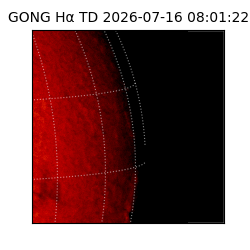 gong - 2026-07-16T08:01:22