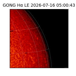 gong - 2026-07-16T05:00:43