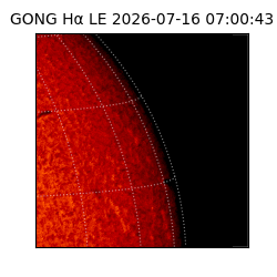 gong - 2026-07-16T07:00:43