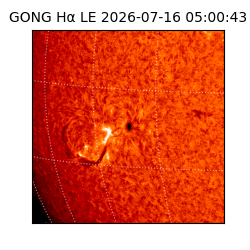gong - 2026-07-16T05:00:43