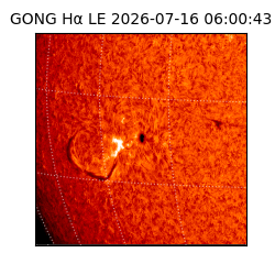 gong - 2026-07-16T06:00:43