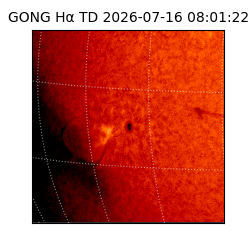 gong - 2026-07-16T08:01:22