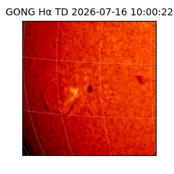gong - 2026-07-16T10:00:22