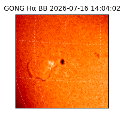 gong - 2026-07-16T14:04:02