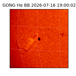 gong - 2026-07-16T19:00:02