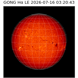 gong - 2026-07-16T03:20:43
