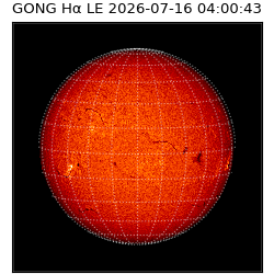 gong - 2026-07-16T04:00:43