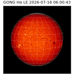 gong - 2026-07-16T06:00:43