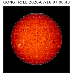 gong - 2026-07-16T07:00:43