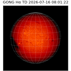 gong - 2026-07-16T08:01:22