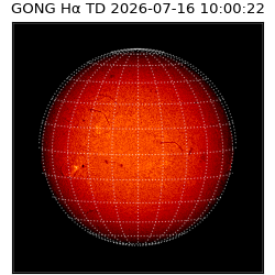 gong - 2026-07-16T10:00:22