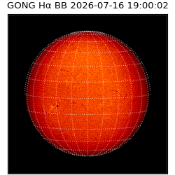 gong - 2026-07-16T19:00:02