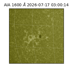 saia - 2026-07-17T03:00:14.124000