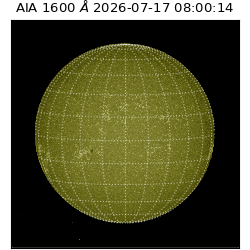 saia - 2026-07-17T08:00:14.124000