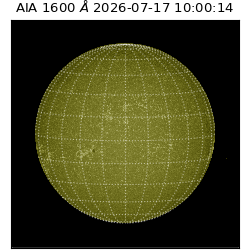 saia - 2026-07-17T10:00:14.122000