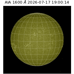 saia - 2026-07-17T19:00:14.123000
