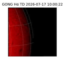 gong - 2026-07-17T10:00:22