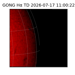 gong - 2026-07-17T11:00:22