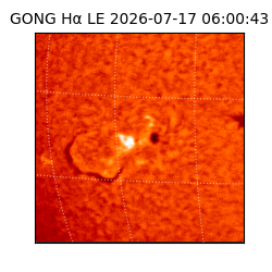 gong - 2026-07-17T06:00:43