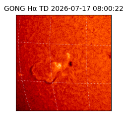 gong - 2026-07-17T08:00:22