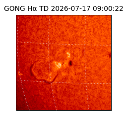 gong - 2026-07-17T09:00:22