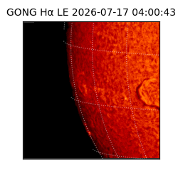 gong - 2026-07-17T04:00:43