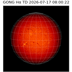 gong - 2026-07-17T08:00:22