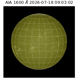 saia - 2026-07-18T09:03:02.124000