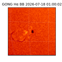 gong - 2026-07-18T01:00:02