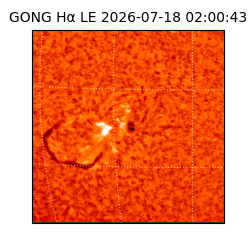gong - 2026-07-18T02:00:43