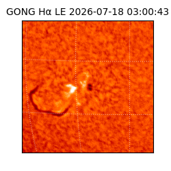 gong - 2026-07-18T03:00:43