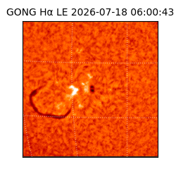 gong - 2026-07-18T06:00:43