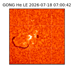 gong - 2026-07-18T07:00:42
