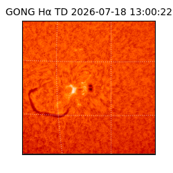 gong - 2026-07-18T13:00:22