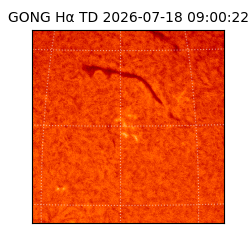 gong - 2026-07-18T09:00:22