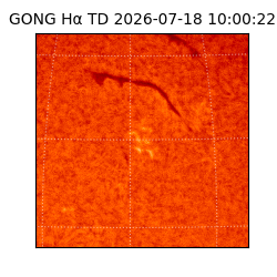 gong - 2026-07-18T10:00:22