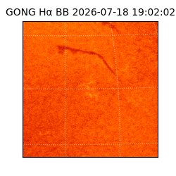 gong - 2026-07-18T19:02:02