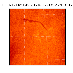 gong - 2026-07-18T22:03:02