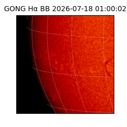 gong - 2026-07-18T01:00:02