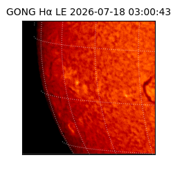 gong - 2026-07-18T03:00:43