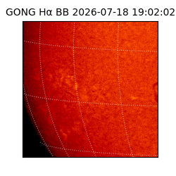 gong - 2026-07-18T19:02:02