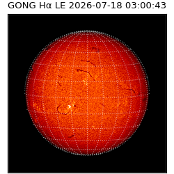 gong - 2026-07-18T03:00:43
