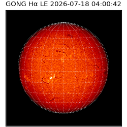 gong - 2026-07-18T04:00:42
